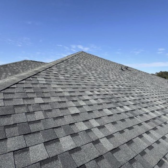 Shingles_page-0001-min